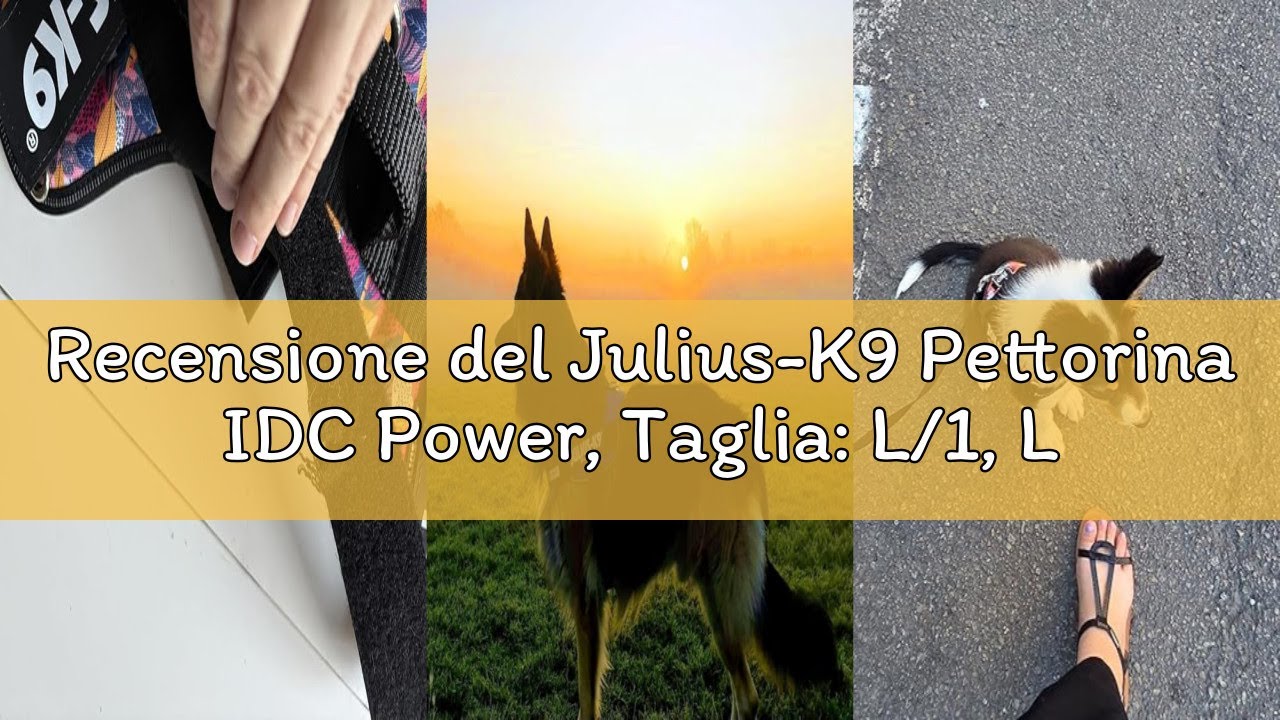 Recensione del Julius-K9 Pettorina IDC Power, Taglia: L/1, Leaf 2 - Limited Edition