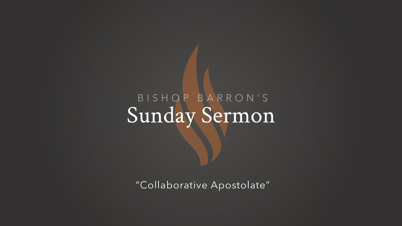 Collaborative Apostolate &mdash; Bishop Barron&rsquo;s Sunday Sermon