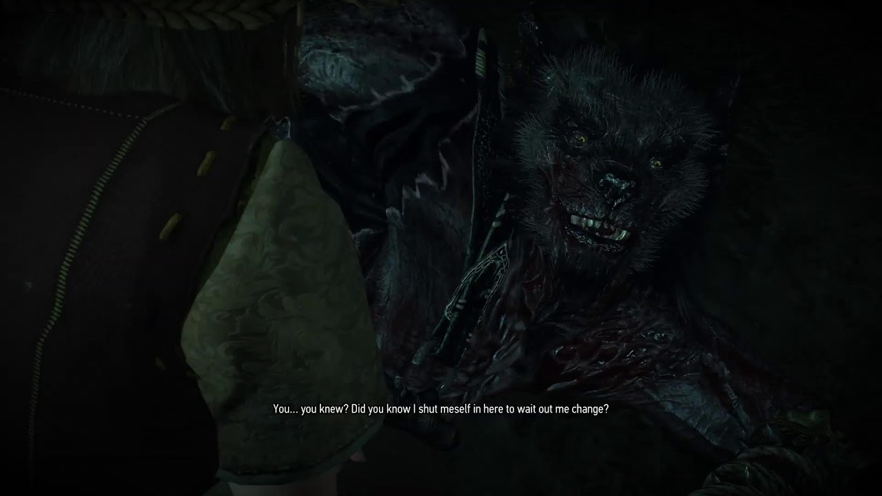 The Witcher 3 PS5 Playthrough pt 2