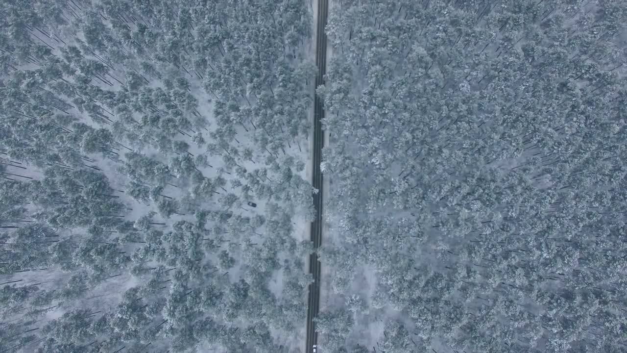 Above Winter Road Stock Video