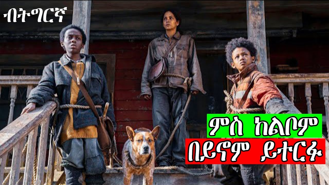 ምስ ከልቦም በይኖም ይተርፉ ፊልምብትግርኛ piranhaconda film| jossy t |neshnesh tv | hdmona nebarit