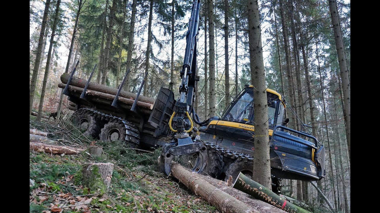 🌲4K| *POV* Ponsse Elephant • Durchforstung im Hang • Ponsse Loggingvideo • Big Machine🌲