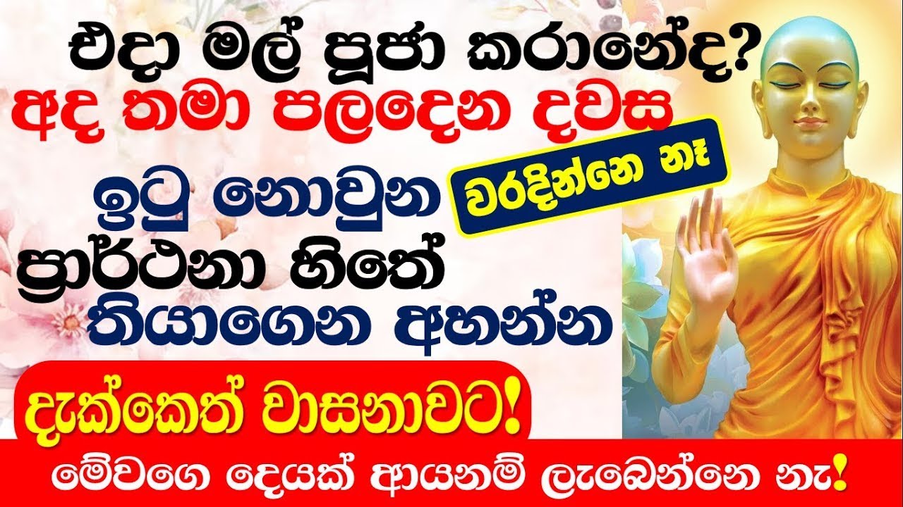 විශ්වමාතාව ඔබට පෙන්නුවා! මේක නොබලනම් ඉන්න එපා!  #yashodarakavi #trending #kathnoruwesiridhammathero