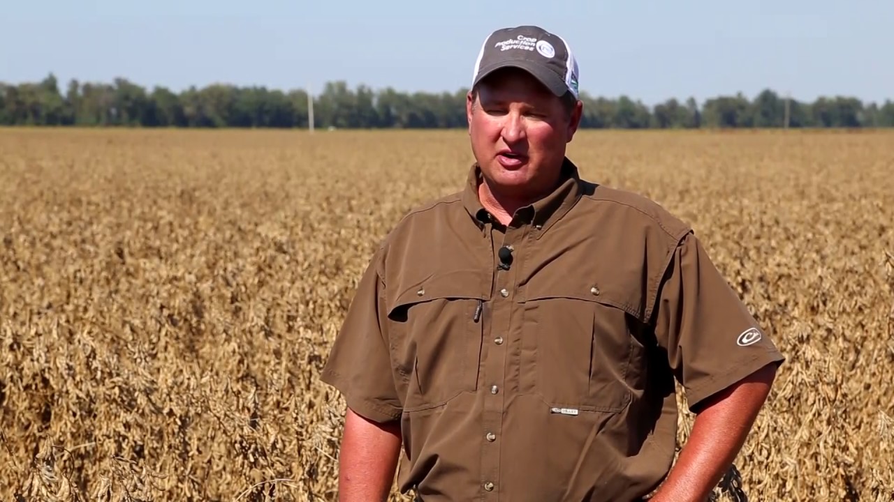 RFD TV - Dyna-Gro Seed Segment