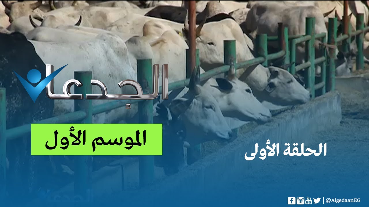 أسرار مشروع الـ 1,5 مليون فدان واسماك قناة السويس واللحوم السودانية