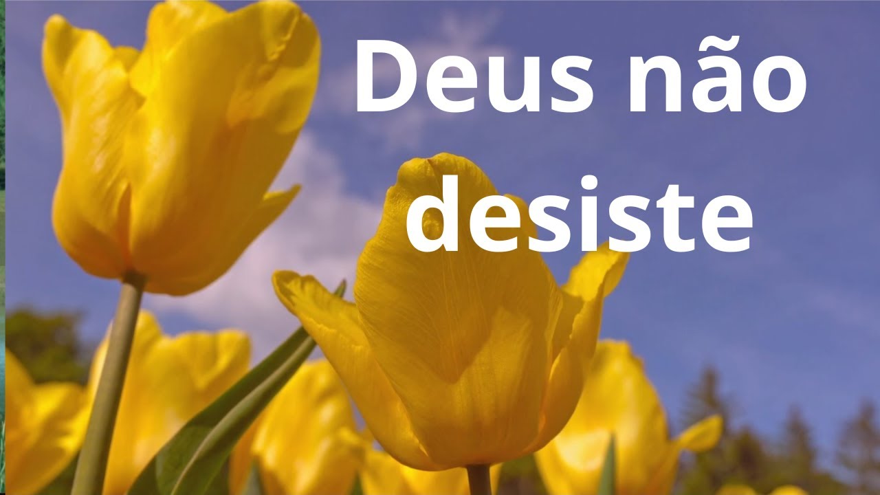 Deus não desiste - Momento Espírita