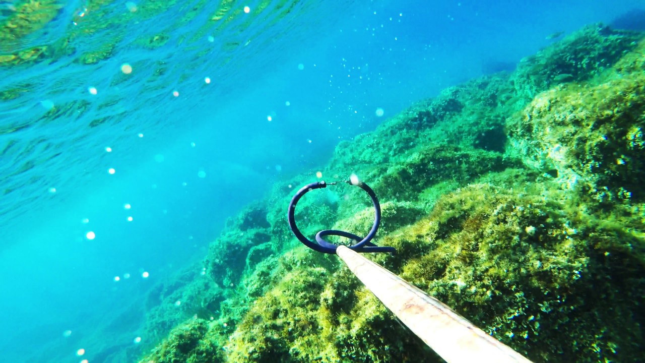 Pescasub: 09/07/2017  GoPro Hero 5 in 4k-Omer Cayman Hf 90 Camu 3D