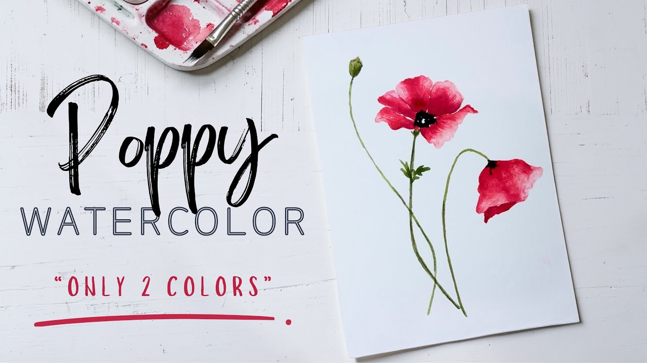 The Ultimate 2-Color Poppy Watercolor Tutorial for Absolute Beginners