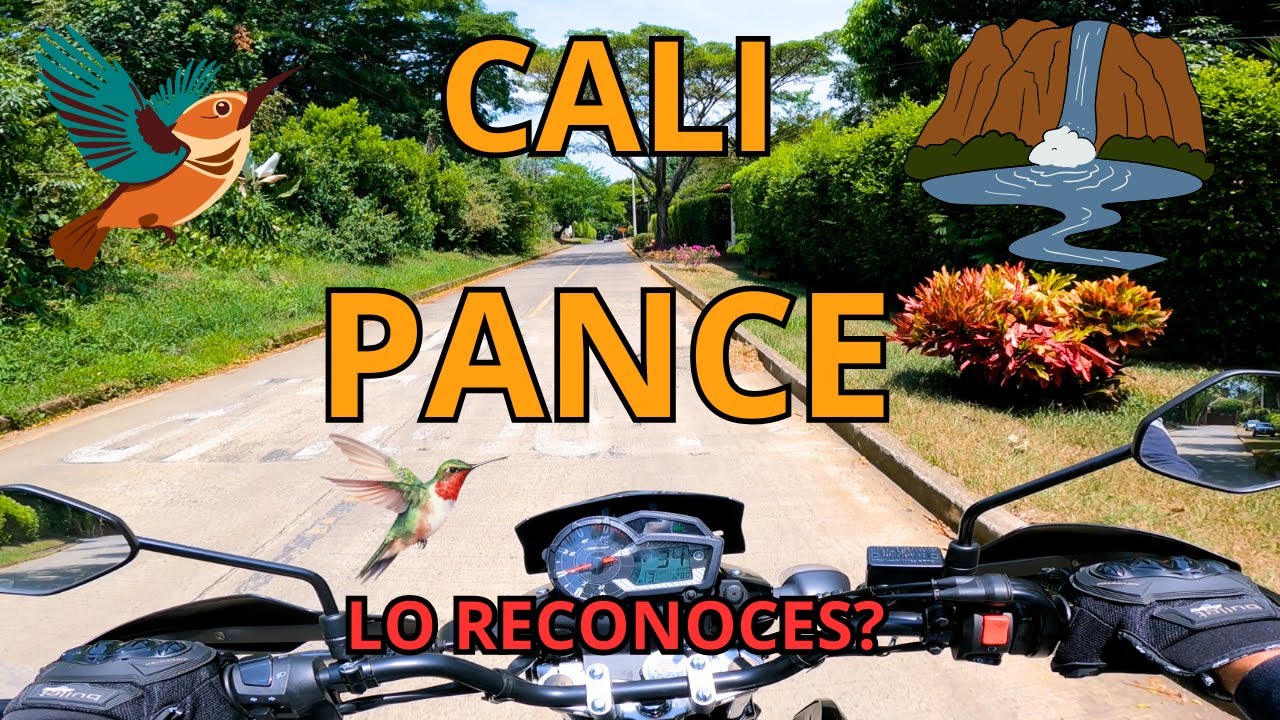 CALI 🇨🇴 PANCE 2024 Cuanto ha cambiado este sector?