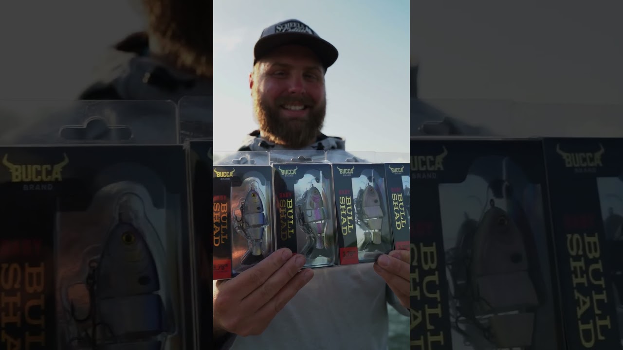 Baby Bull Shad Showcase