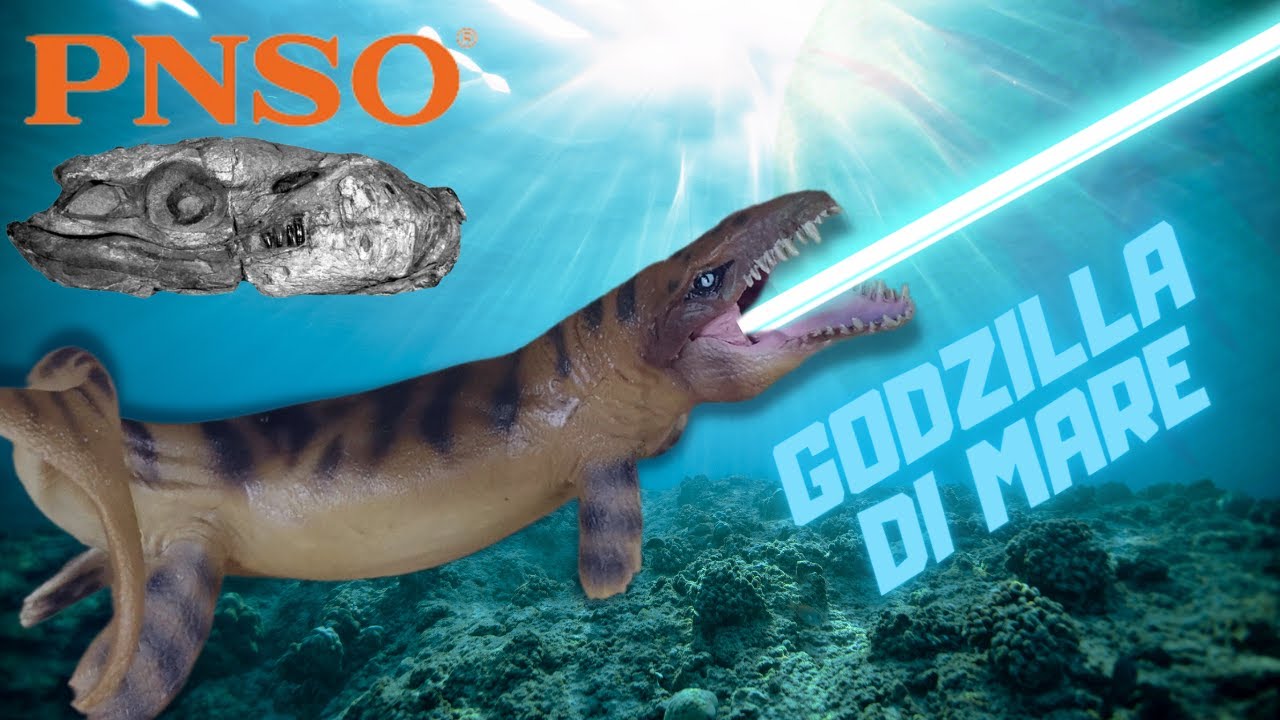 Dakosaurus - PNSO