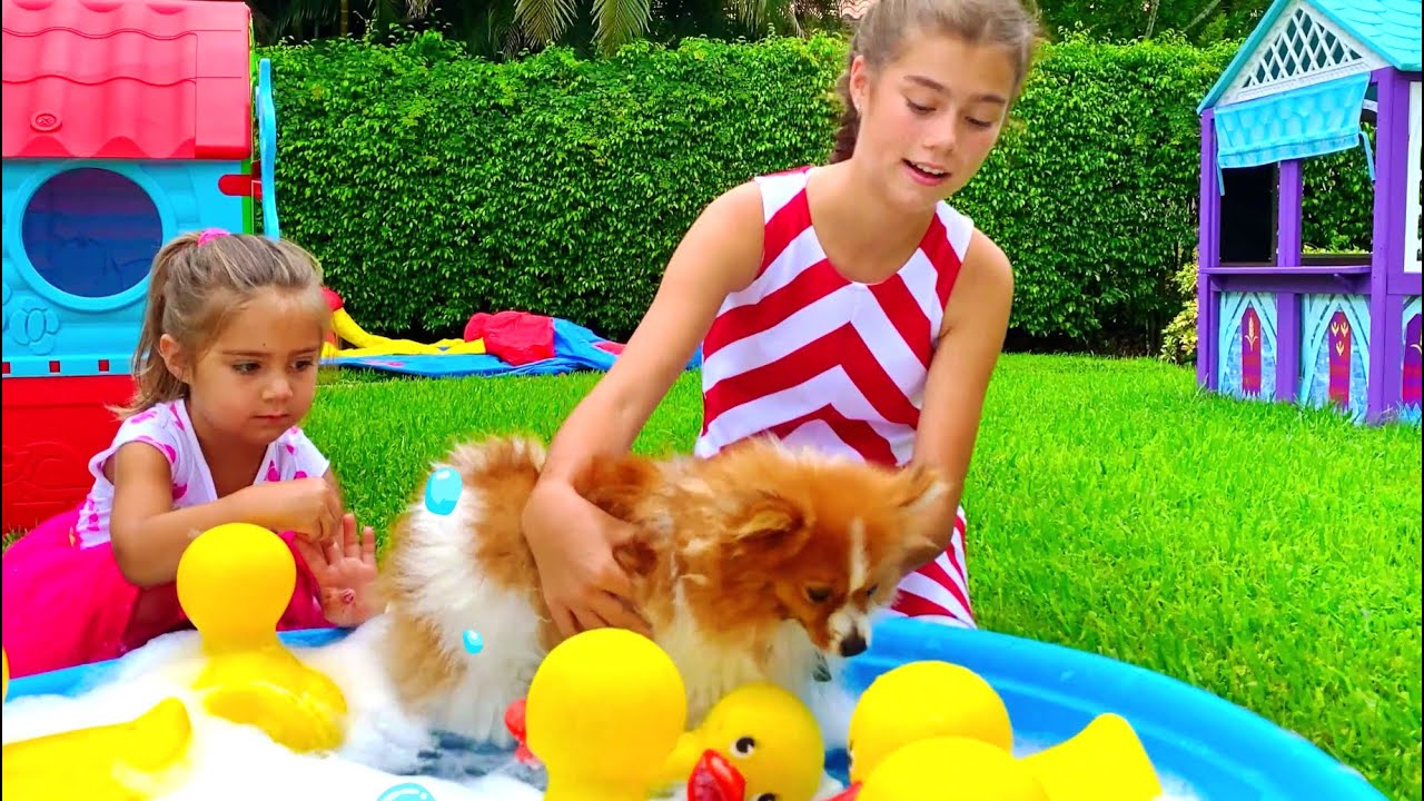 ميا وناستيا تعتنيان بالكلب مارتي – قصص تعليمية للأطفال