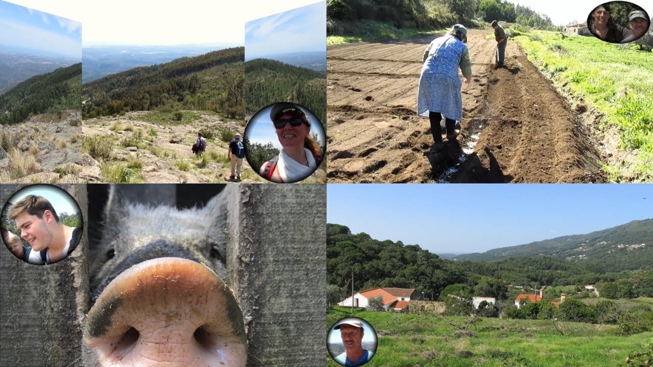 Info-Wanderung in Monchique auf den Picota (Interviews)