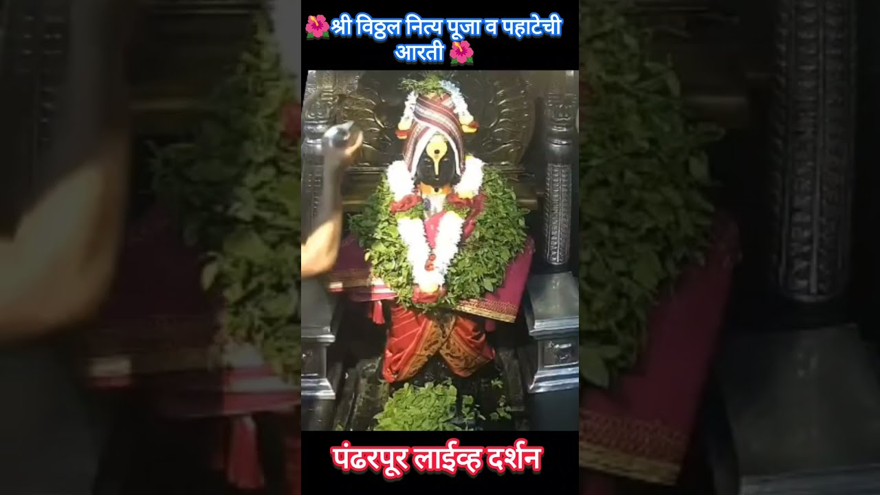 श्री विठ्ठल  नित्य पूजा व पहाटेची आरती जानेवारी 2025 ||Shree Vitthal Live Darshan today pandarpur
