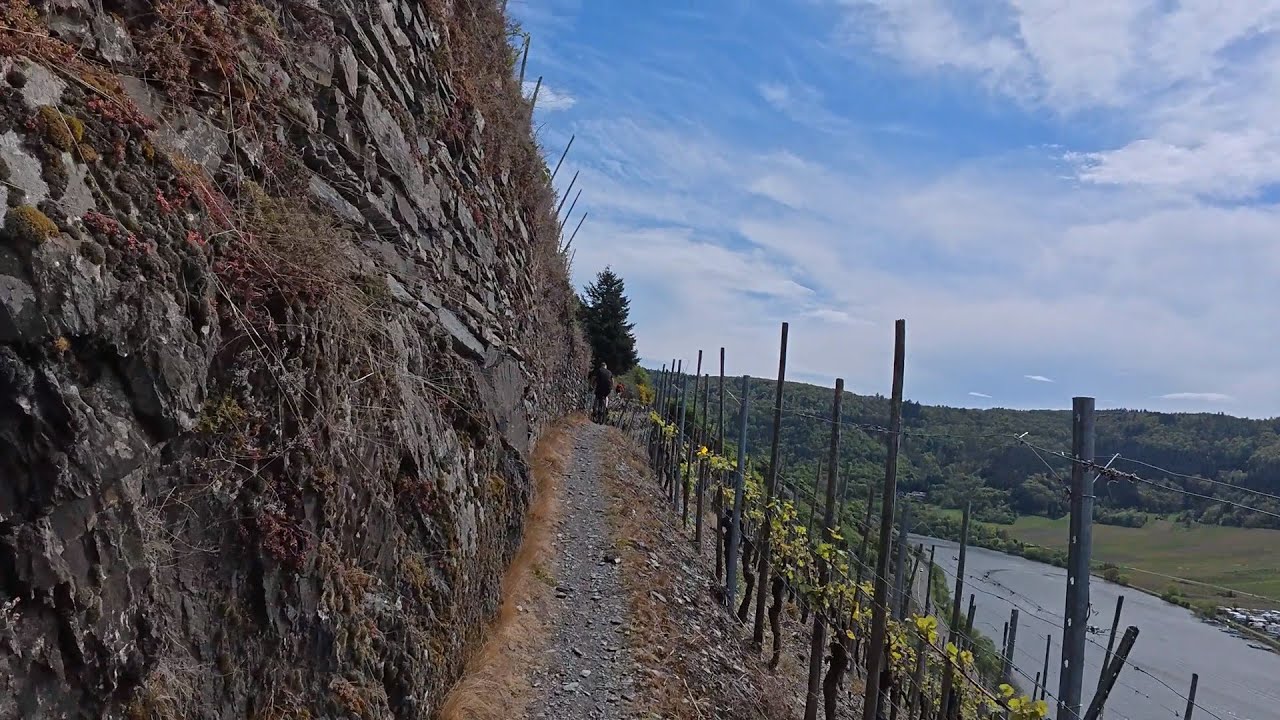 40 minute Indoor Cycling Workout Mosel River and vineyards Germany 4K Video