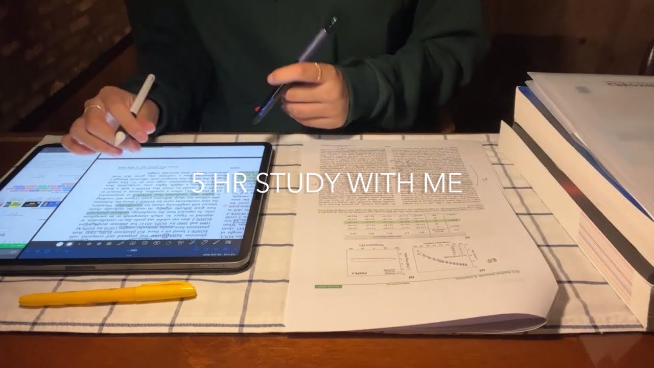 🔥장작과 함께 불타오르는 5시간 스터디윗미🔥 5HR Study with me