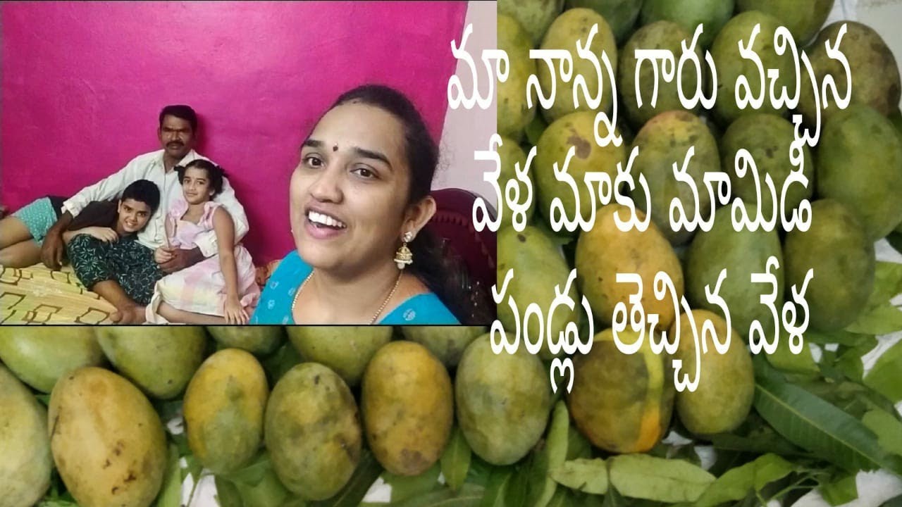 మా నాన్న గారు వచ్చిన వేళ//మాకు మామిడి  పండ్లు తెచ్చిన వేళ// organic banginapalli mangos/father love/