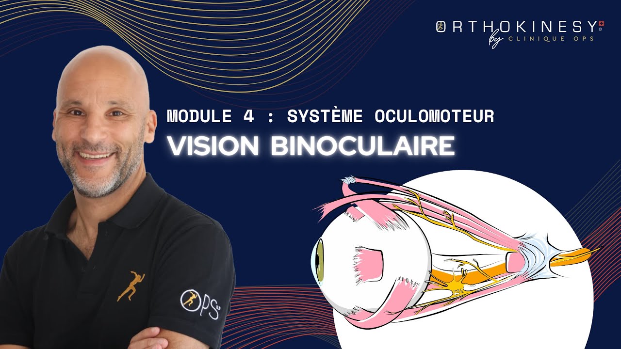 Comprendre l&rsquo;influence de la vision binoculaire sur l&rsquo;&eacute;quilibre corporel