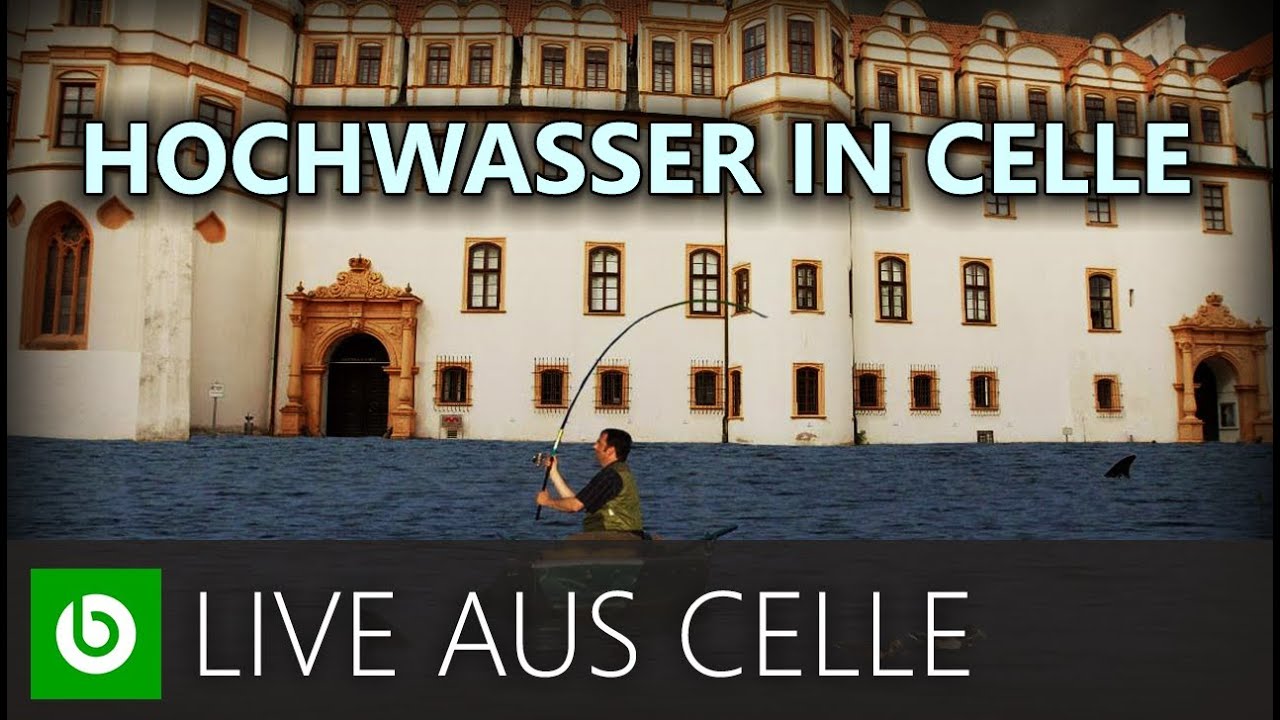 LIVE AUS CELLE | HOCHWASSER IN CELLE