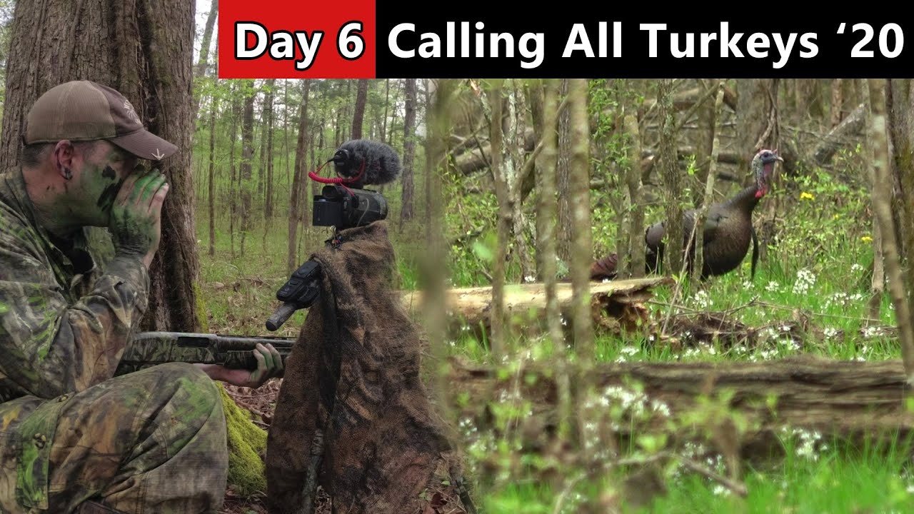 I FOUND THE GOBBLERS!!! - Turkey Hunting Public Land in Mississippi