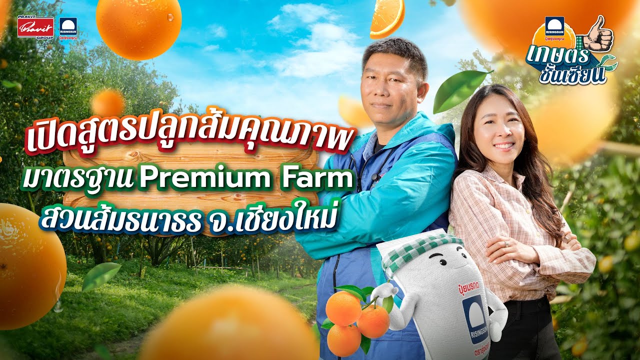 เกษตรชั้นเซียน ตอน เปิดสูตรปลูกส้มคุณภาพ มาตรฐาน Premium Farm ฉบับสวนส้มธนาธร