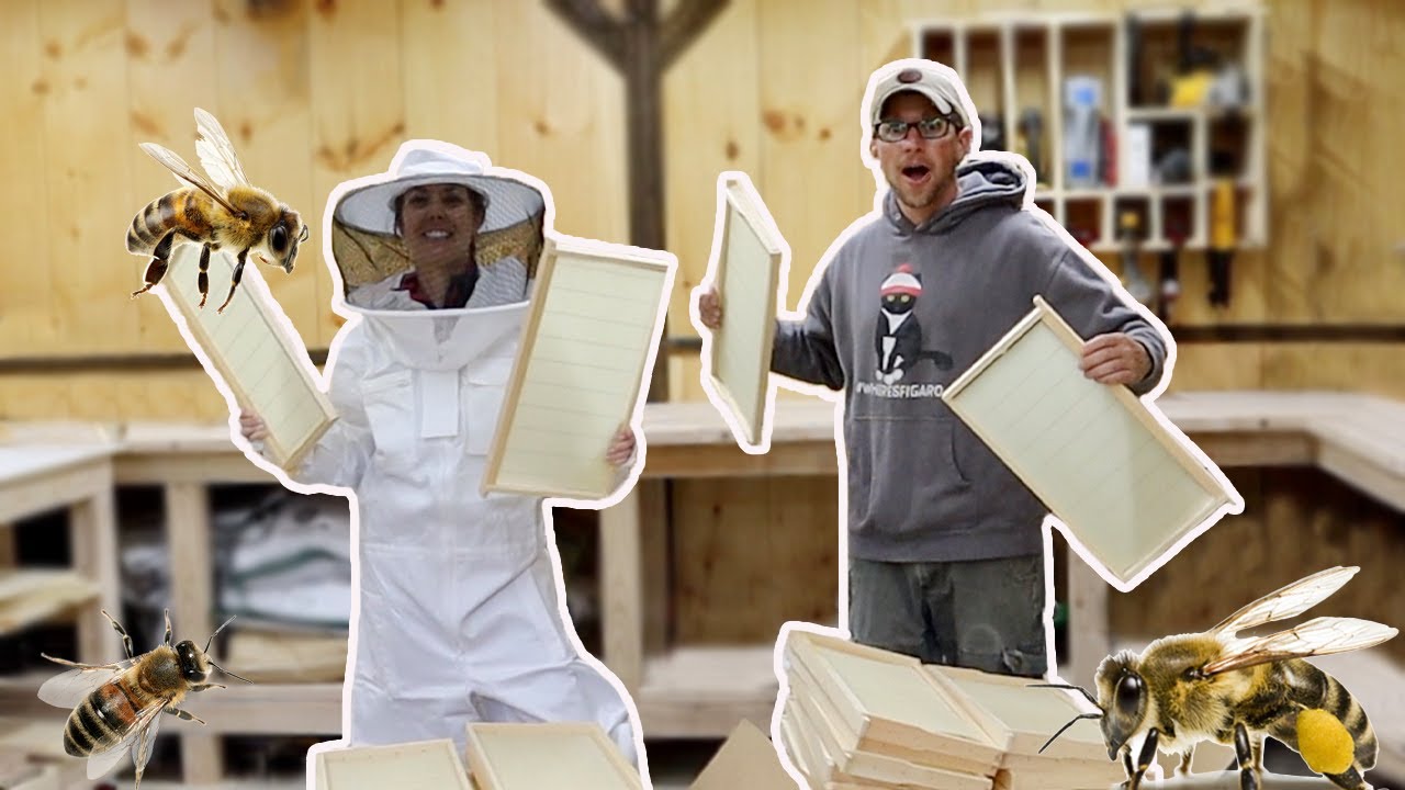 Getting the Homestead Ready for 20,000 BEES we ORDERED off the Internet