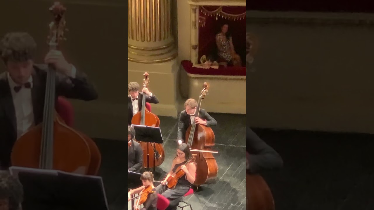 Double Bass solo from Rigoletto.  Accademia Teatro Alla Scala, conducting by Alessandro Bonato.