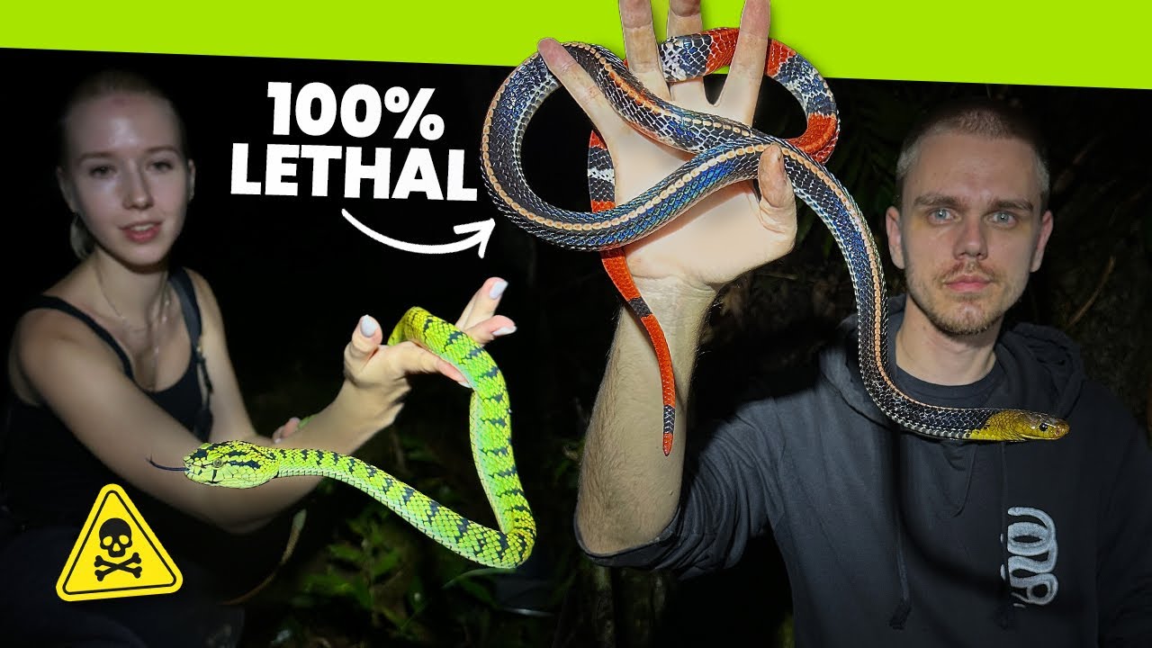 The BEST snakes of my life!