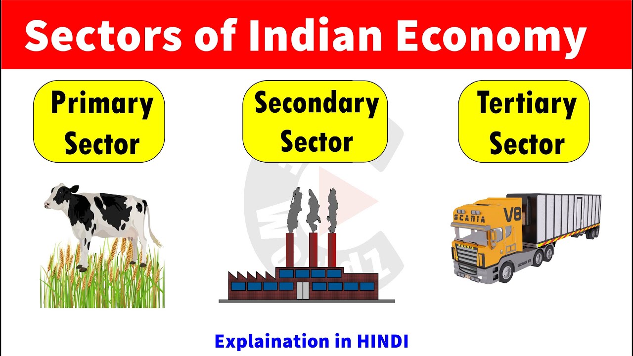 Sectors of Indian Economy | Primary Sector | Secondary Sector | Tertiary Sector