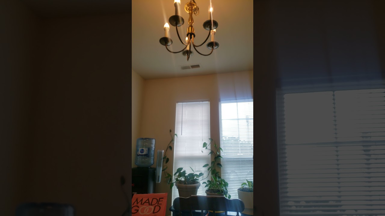 Trail Tech Temp Gauge Unbox