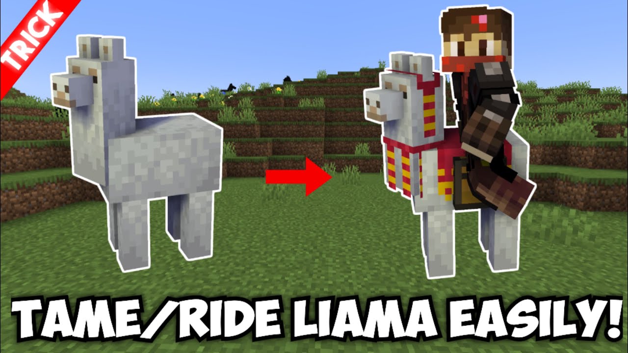 Как приручить ламу и ездить на ней в Minecraft &mdash; Bedrock/PE/Java