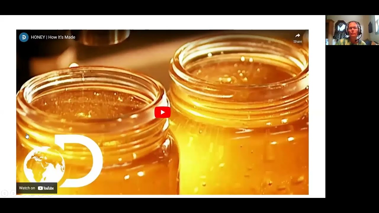Beekeeping 101 Honey Production