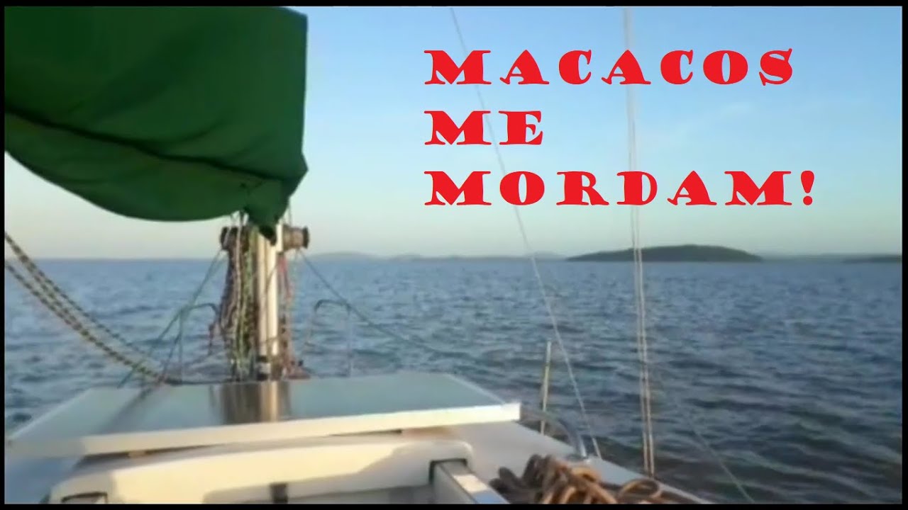 MACACOS, LAGARTOS E ILHAS - VELEJANDO DE SÃO LOURENÇO DO SUL A PORTO ALEGRE - VELEIRO POP 25