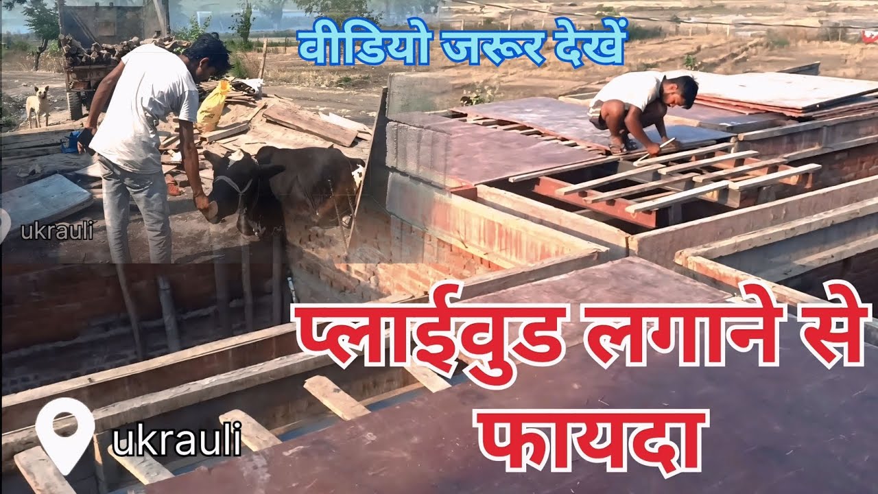 प्लाईवुड लगाने से फायदा देख पूरी वीडियो ⚒️✅#viralvideo #plywoodshuttering #construction