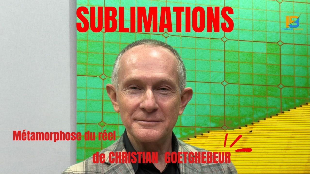 Sublimations : les métamorphoses du réel de Christian GOETGHEBEUR - ART  CAPITAL