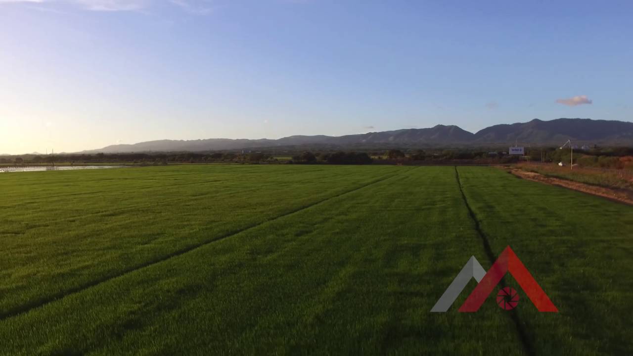 Sol y verde de Mao, Rep&uacute;blica Dominicana by MOMENTS Aerial