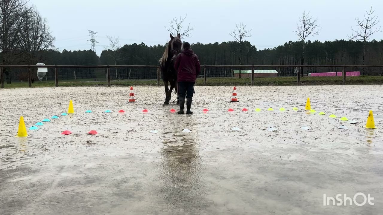 Equifeel caval go épreuve club 2 manche 2- Andréane et Mandala