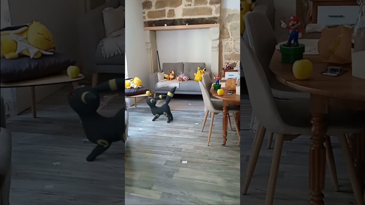 Real UMBREON Pok&eacute;mon! Not fake at all