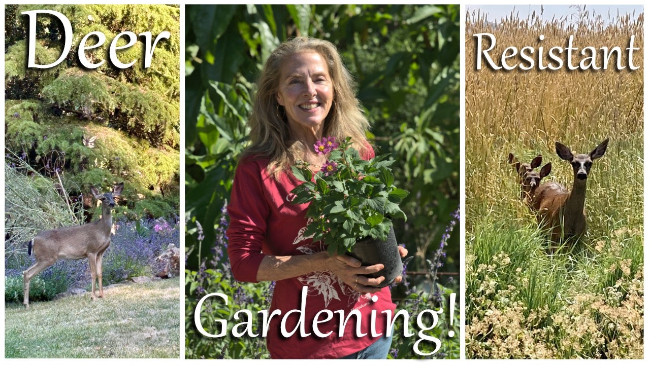 💚Beautiful & Bambi-Proof! Ultimate Guide to Deer-Resistant Gardening!🌿#gardenadvice #gardentips🌿🦌