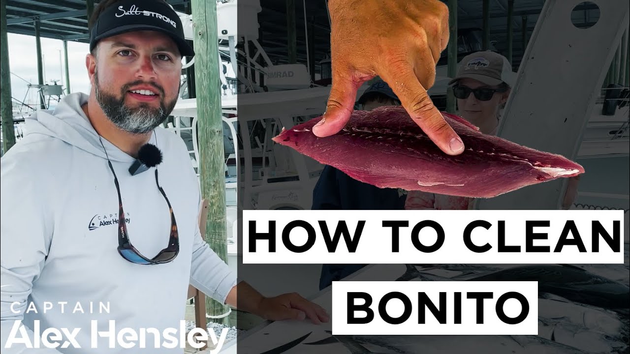 HOW TO CLEAN BONITO LIKE A PRO (so its not fishy tasting) (False Albacore, Little Tunny, Bonita)