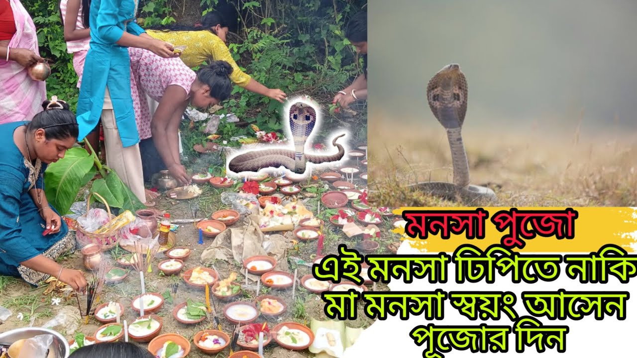 মনসা পূজোর দিন এই স্থানে নাকি সাপ 🐍 এসে  দুধ পান করে//#youtube #minivlog #trending #subscribe#manasa
