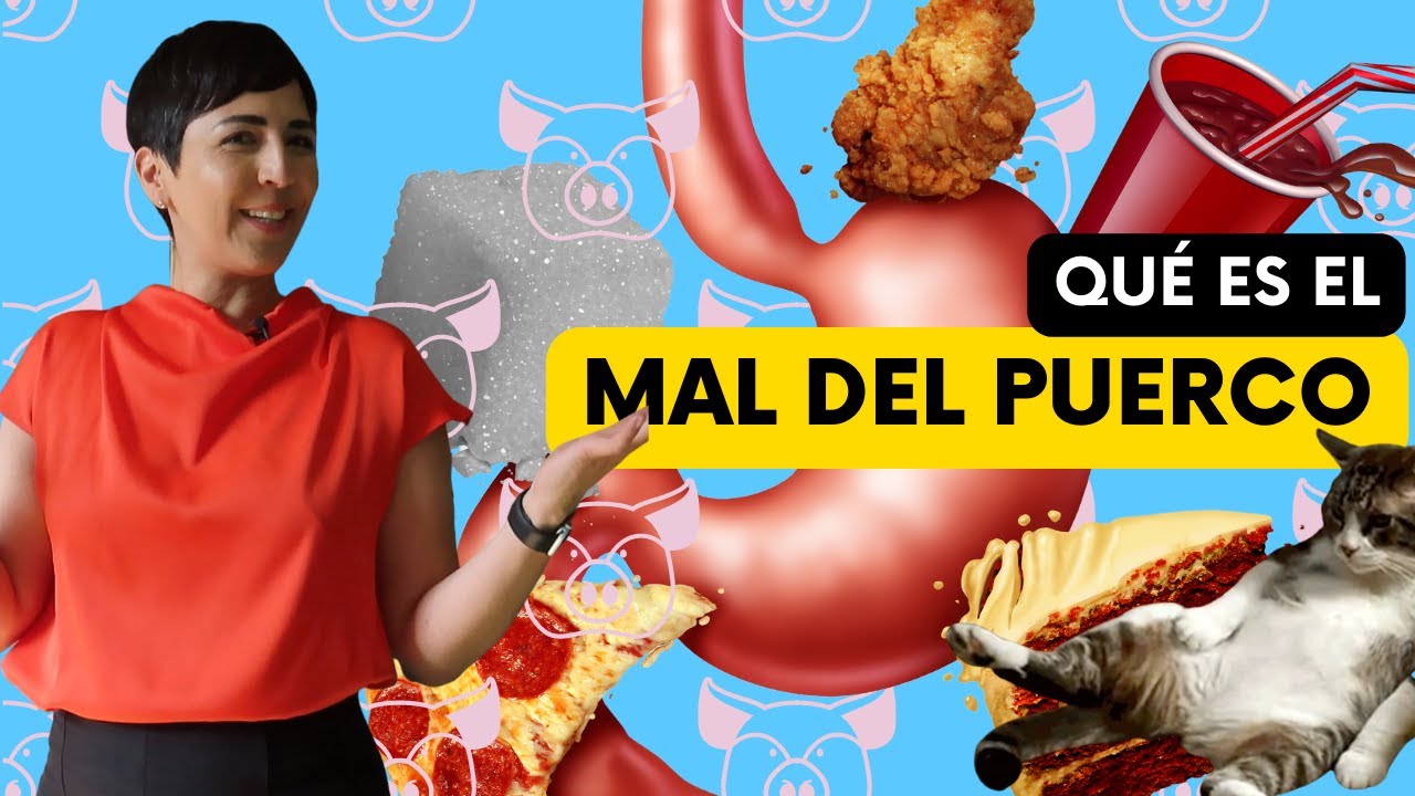 Por qué nos da SUEÑO después de COMER