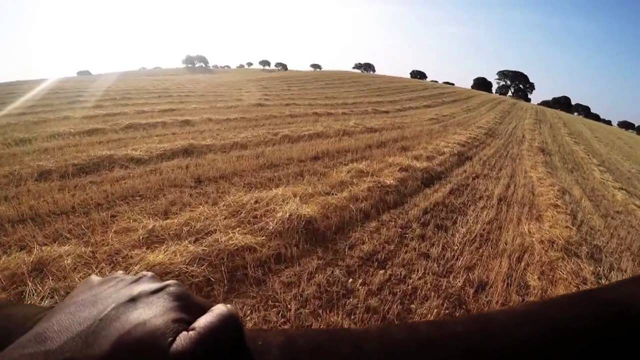 Up! Riding a Hot Air Balloon in Alentejo