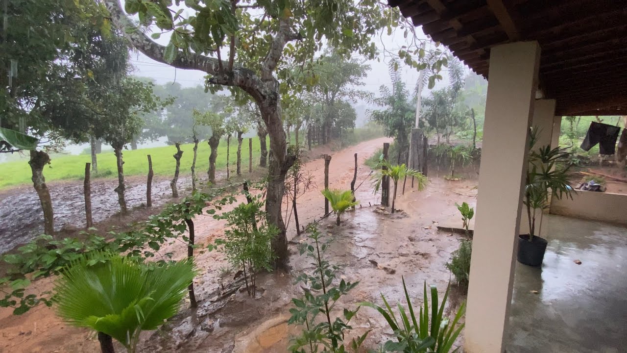 EU E A LÚ FICAMOS SURPRESOS COM A FORTE CHUVA DE VERÃO AQUÍ NO SÍTIO / FOI MUITA ÁGUA!!!