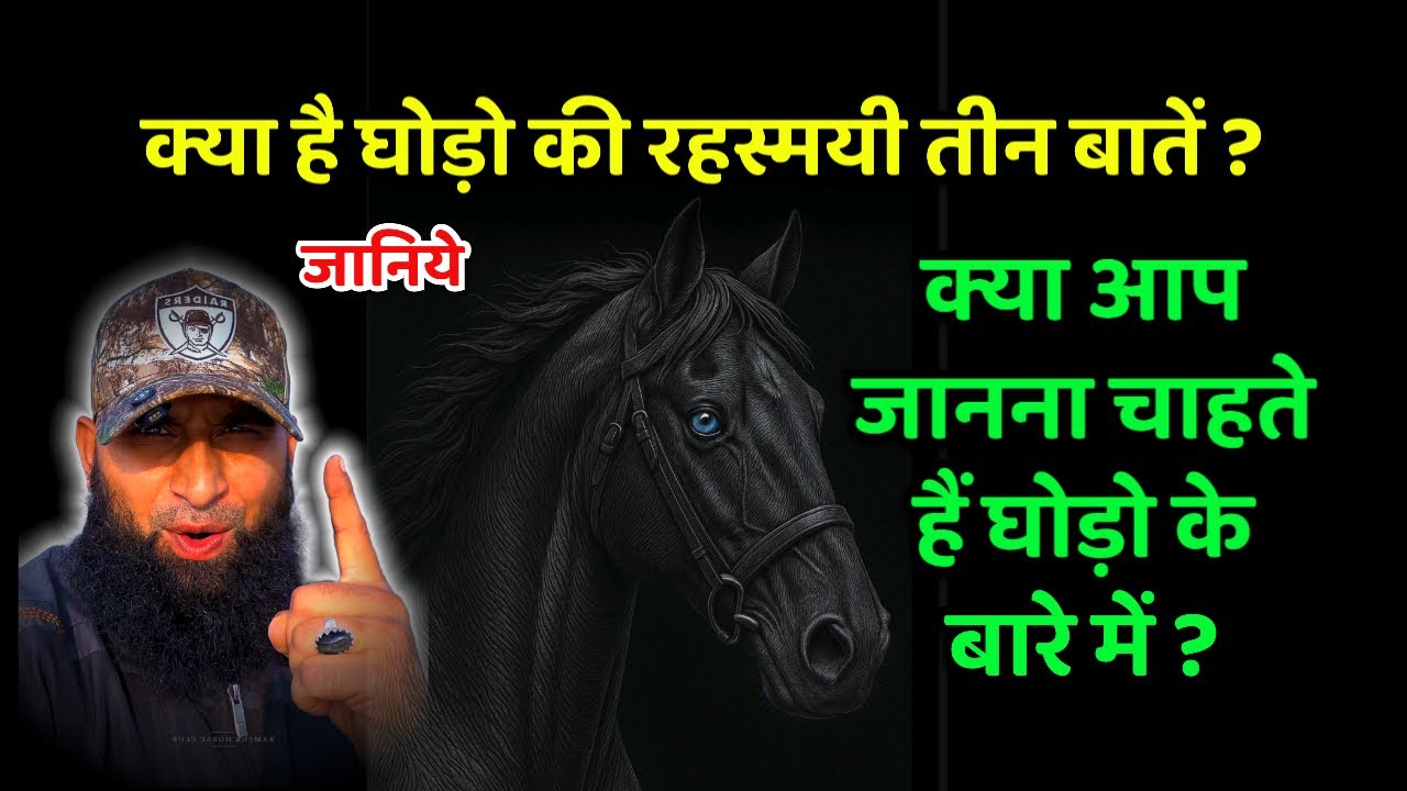 क्या है घोड़ो की रहस्मयी तीन बातें ? 