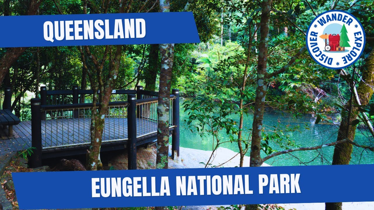 🍃  Eungella National Park ~ Day Trip to Spot a Platypus and Chase Waterfalls