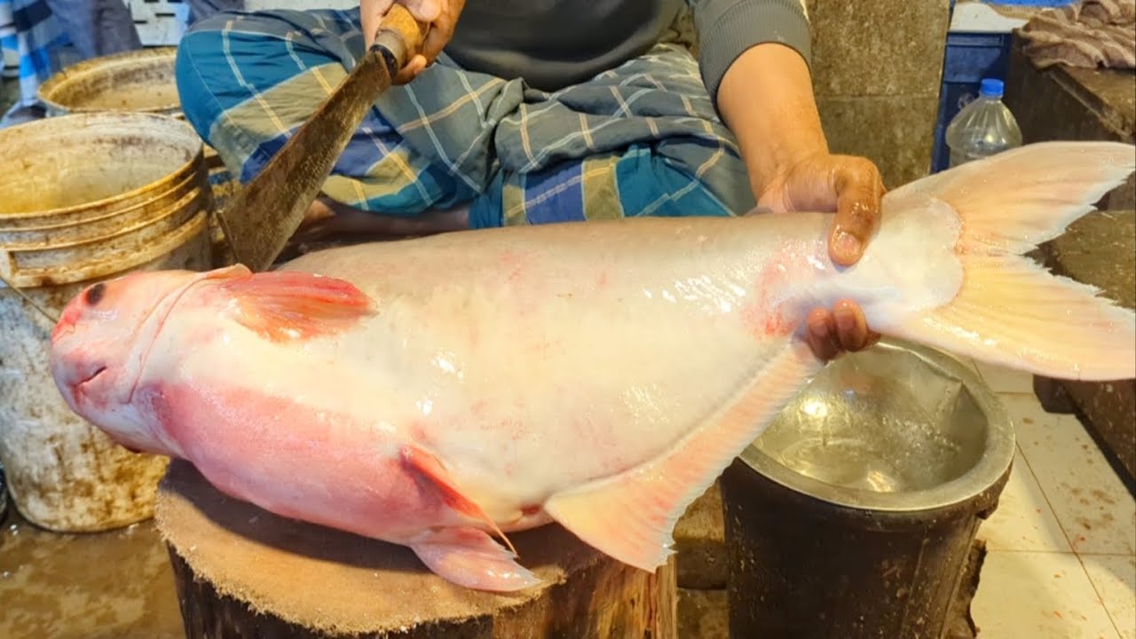 Amazing Giant Pangas Fish Cutting Skills In Bangladesh Local Fish Market | Fish Cutting Skills