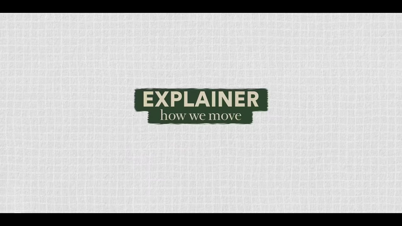 The Brain Prize Explainer | How we move