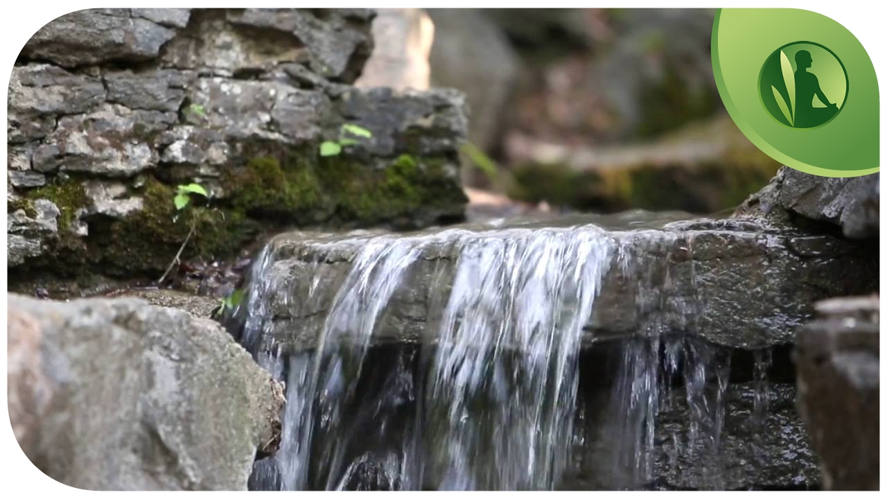 Sons da Natureza: Música Relaxamento Profundo com Água Corrente e Pássaros