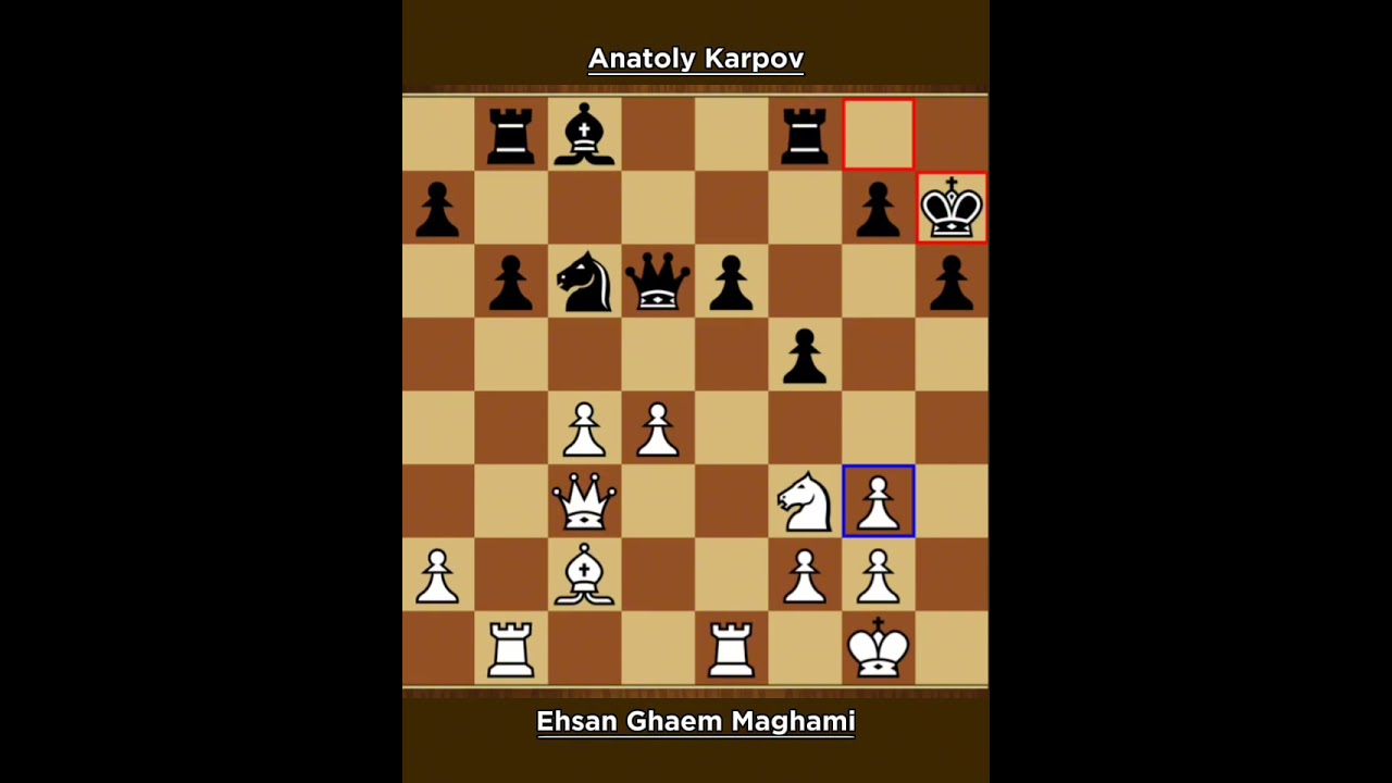 Ehsan Ghaem Maghami vs Anatoly Karpov ◉ Tehran 2009 - 